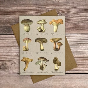 Watercolor Vintage Botanical Mushroom Illustration notecards - 12 card gift set - heavy stock blank greeting, bulk thank you, birthday card