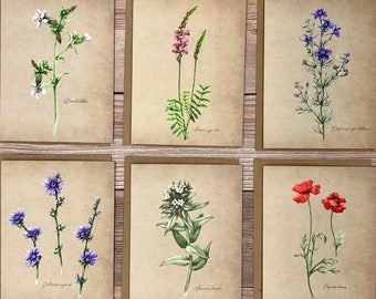 Watercolor Vintage Botanical floral wildflower notecards - 12 card gift set - heavy stock blank cards for greeting, thank you, birthday