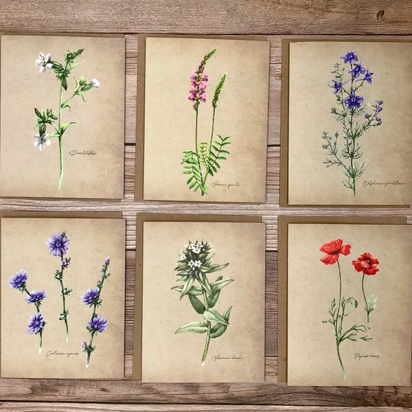 Watercolor Vintage Botanical floral wildflower notecards - 12 card gift set - heavy stock blank cards for greeting, thank you, birthday