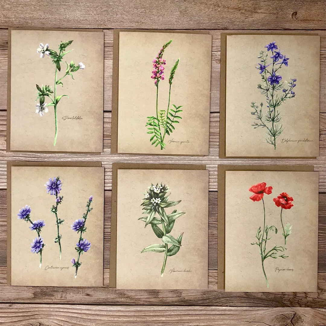 Watercolor Vintage Botanical Floral Wildflower Notecards - 12 Card Gift ...