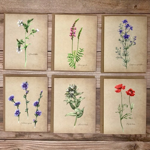 Watercolor Vintage Botanical floral wildflower notecards - 12 card gift set - heavy stock blank cards for greeting, thank you, birthday