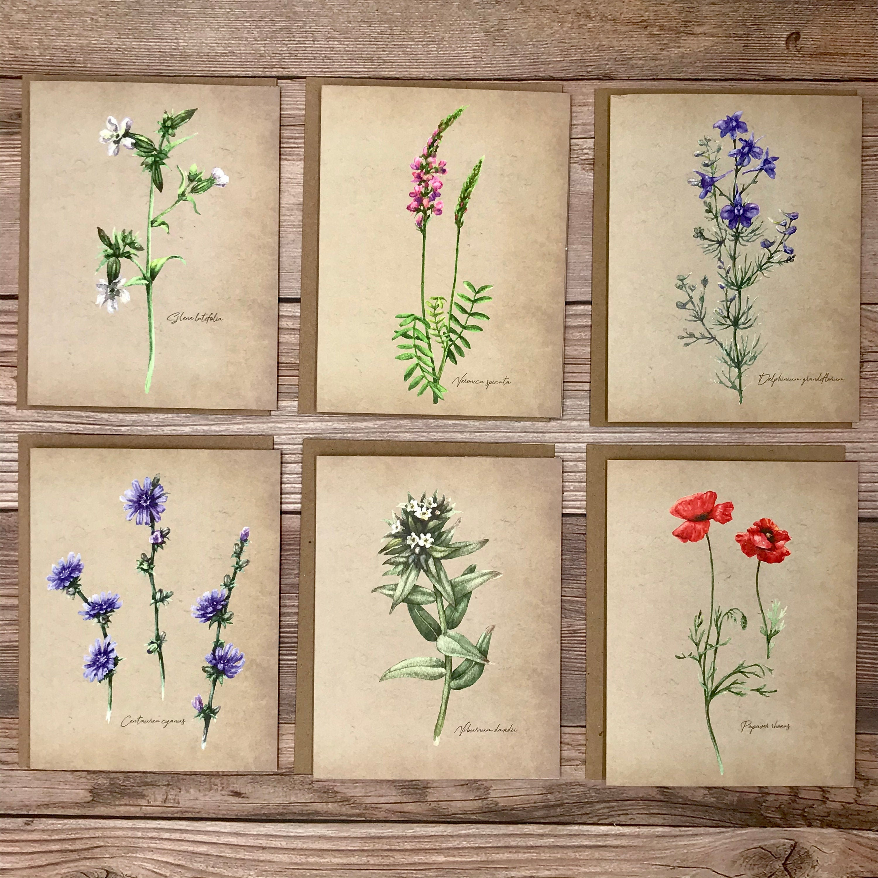 321Done Jumbo Floral Index Cards - 5" X 7" College-Ruled Lined Notecards, Set Of 50, Red Roses On Tan (Made In USA) - View #6