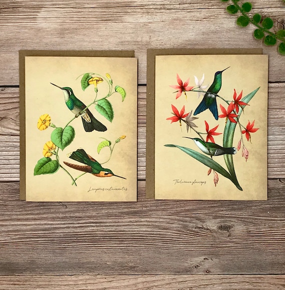 Hummingbird Greeting Card Watercolor Hummingbird Art Blank