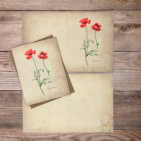 321Done Jumbo Floral Index Cards - 5" X 7" College-Ruled Lined Notecards, Set Of 50, Red Roses On Tan (Made In USA)