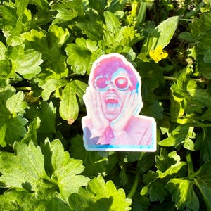 May include: A sticker featuring a colorful illustration of a person wearing sunglasses and with their hands on their cheeks, mouth open in a surprised expression. The sticker has a white border and is set against a background of green foliage.