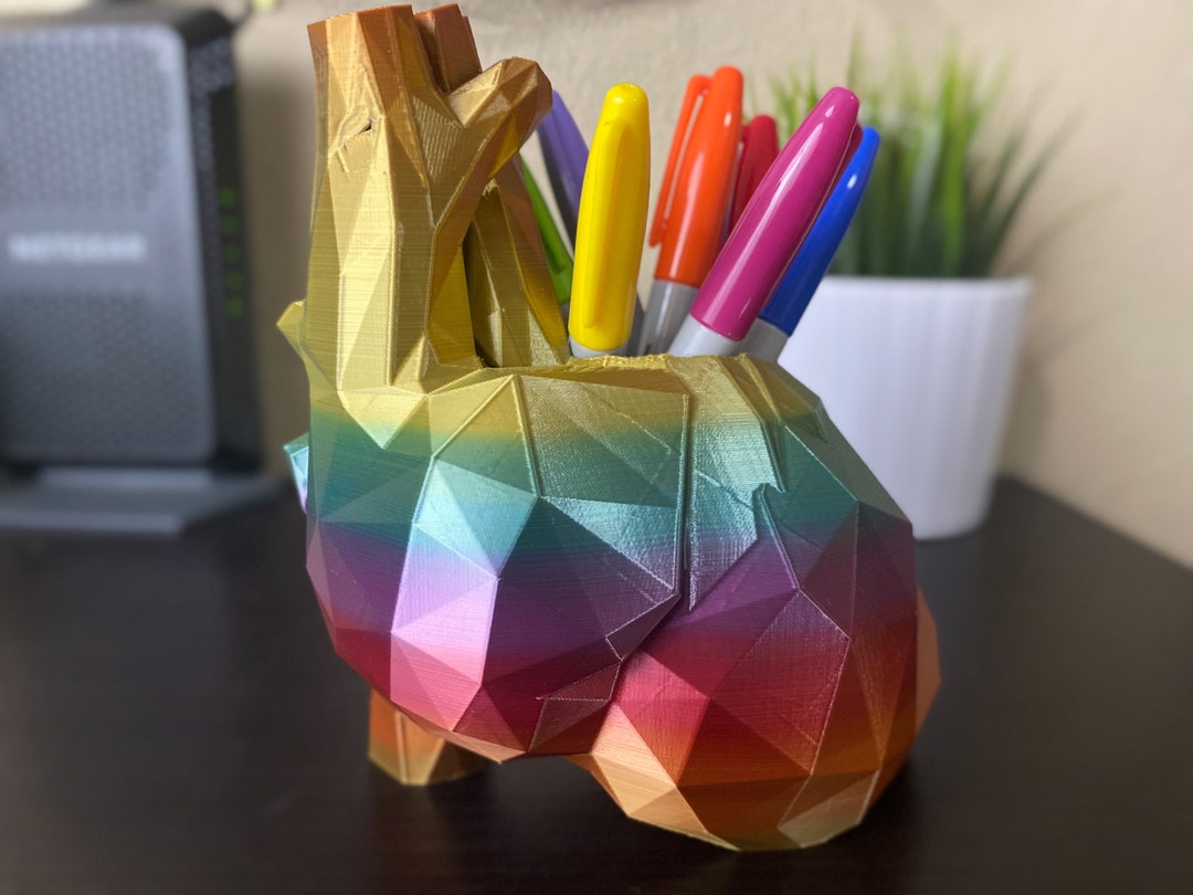 Anatomical Heart Pencil Holder Rainbow Heart 3D Printed Etsy