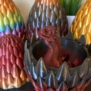 Baby Dragon | Dragon Egg | Dragon Hatchling | Egg Stash | Egg Storage | 3D Printed