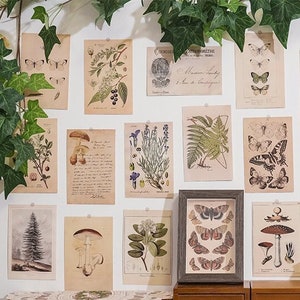 Cottagecore -Decoración de pared de hongos mágicos, herbario, marco de oro antiguo, colgante de pared botánica, Academia oscura, Vintage