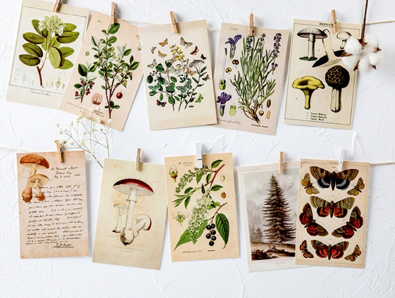 Mystery Grab Bag Postcard Pack | Dark Academia Journal Kit | Vintage | Snail Mail | Scrapbooking | Antique Victorian | Mushroom Decor