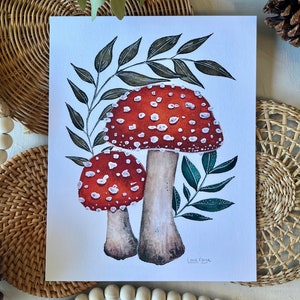 Doppel Fliegenpilz Pilze