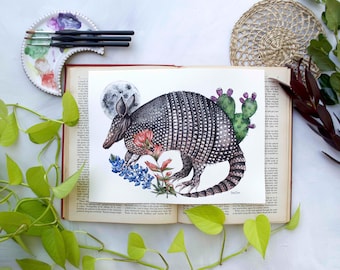 May include: A watercolor painting of an armadillo with a prickly pear cactus, bluebonnets, and a full moon in the background. The armadillo is brown and black with a pink underbelly. The cactus is green with purple flowers. The bluebonnets are blue and white. The moon is white.