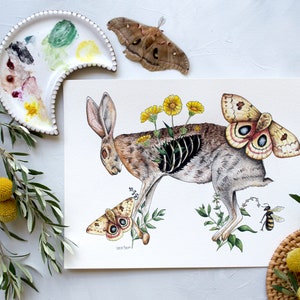 Decomposing Jackrabbit