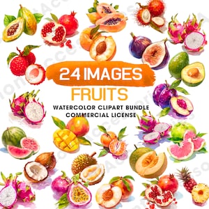Kommerzielle Nutzung, Bundle PNG Aquarell Obst Clipart, Leckeres Obst Clipart, Seltenes Obst Clipart Bundle, Sofortiger digitaler Download, Obst drucken