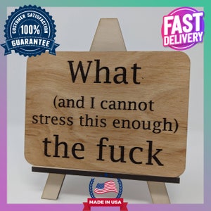 What (And I Cannot Stress This Enough) the Fk&quot; - A Straightforward Statement Office Sign Magnet Ornament