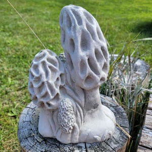Concrete Morel Mushroom 13 Inches Tall Garden Statue