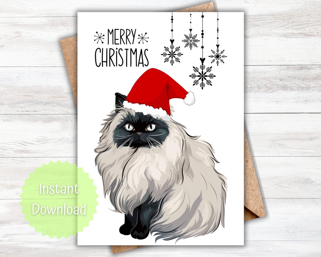 Funny Cat Christmas Card, Playful Holiday Card (digital Download) - Etsy