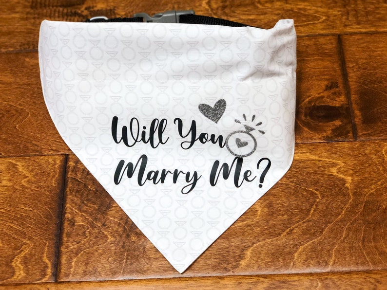 Will You Marry Me Over the Collar Dog Bandana Proposal Etsy