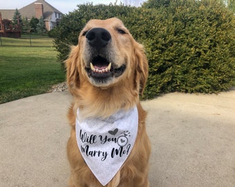 Will You Marry Me? Over the Collar Dog Bandana, Proposal, Engagement Dog Bandana