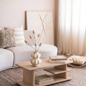 Natural Mango Wood Coffee Table, Modern Two-Tier Shelf Living Room Furniture