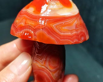 Rare  Gobi Eyes Agate Mushroom: Natural Madagascar Healing Crystal