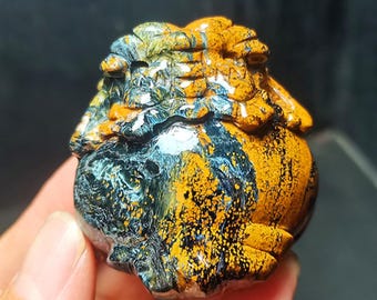 Hand Carved Pietersite Dragon Turtle Statue: Feng Shui Decor