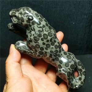AAA Natural Polished Money leopard Agate Hand-carved Healing /Healing Agate/Healing stone/ Energy/gift