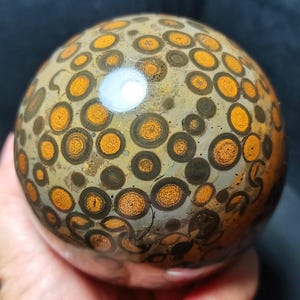 May include: A polished spherical stone featuring a complex pattern of circular orbs in shades of mustard yellow, dark brown, and tan. The surface is smooth and reflective, displaying a dense arrangement of concentric rings throughout the entire sphere.