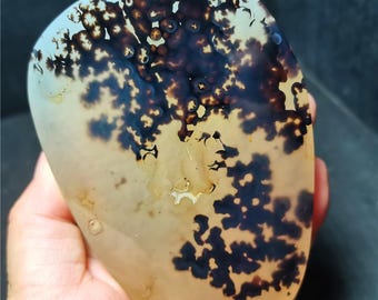 Polished Banded Lace Agate Crystal: Aquatic Plants Pattern, Madagascar Healing Stone