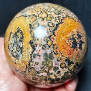 May include: A polished spherical stone featuring a complex pattern of orbicular inclusions in shades of mustard yellow, deep black, burnt orange, and muted olive green. The surface is smooth and reflective, displaying a dense array of circular spots.