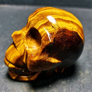 Hand Carved Tiger Eye Crystal Skull: Healing Stone (447g)