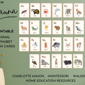 Nature Alphabet, Montessori Animal Flashcards, Animal Alphabet Homeschool Flashcards, Preschool, Kindergarten, Home Education, School