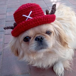 Tony tony chopper backet hat for pet, Trafalgar law hat crochet, anime beanie, anime pet accessories,  chopper hat pet, small pets hats.