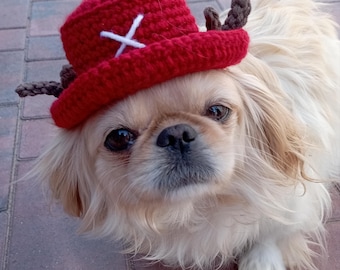 Tonytonychopper Backethatforpet, Trafalgar Law Hat Pet Crochet