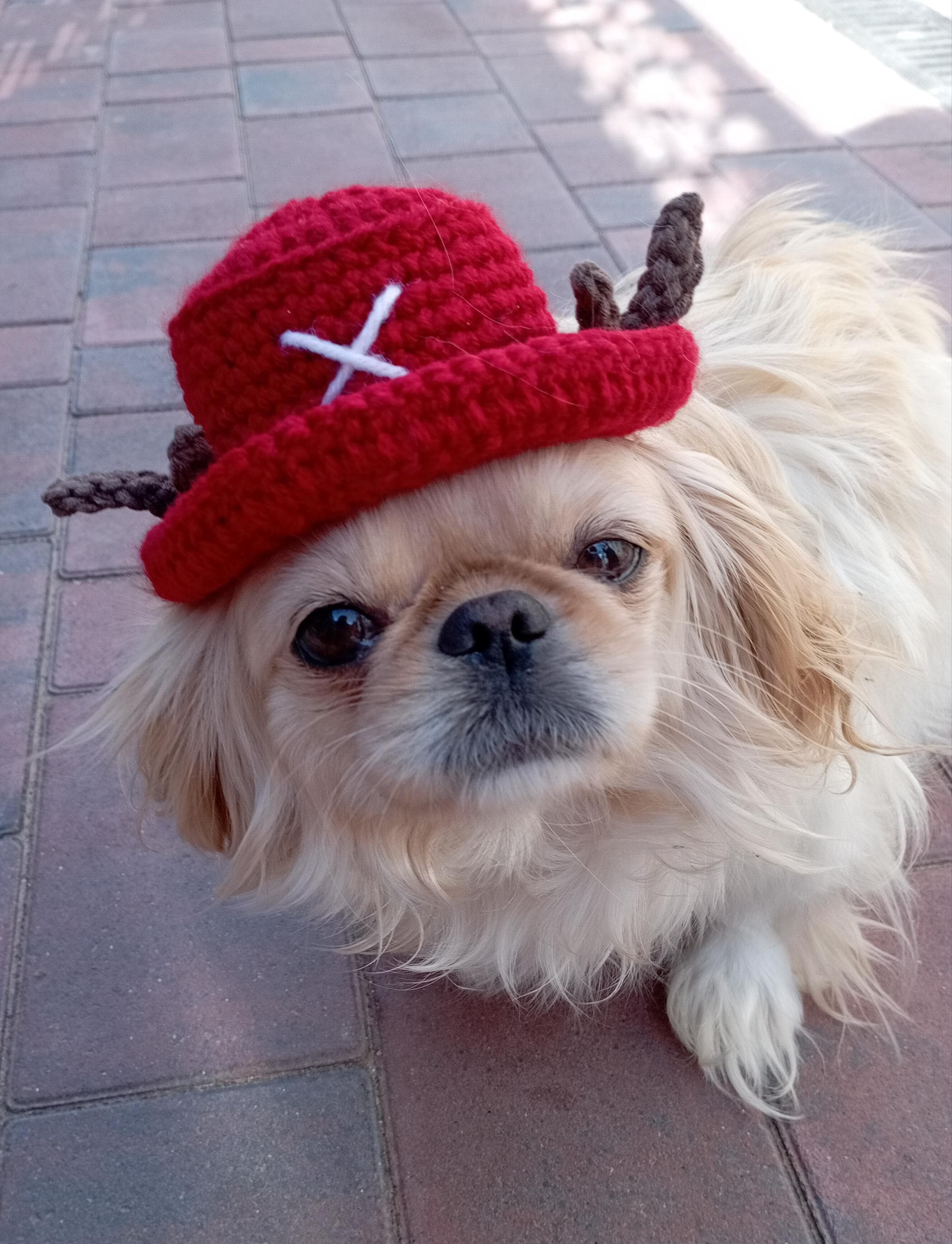 Tonytonychopper Backethatforpet, Trafalgar Law Hat Pet Crochet