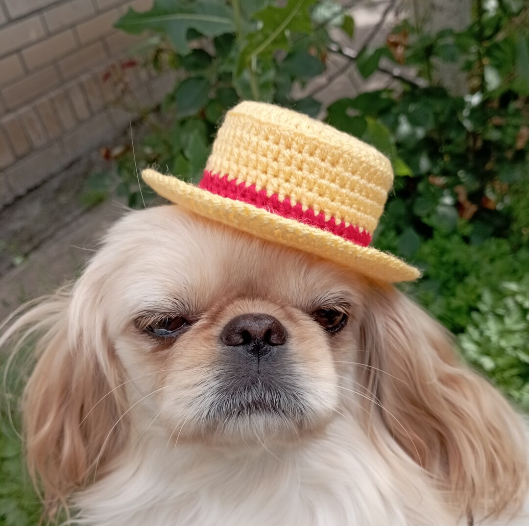 Luffy Straw Hat, One Piece Anime, Cosplay Replica, Monkey D Luffy, Anime Dog Accessory, One