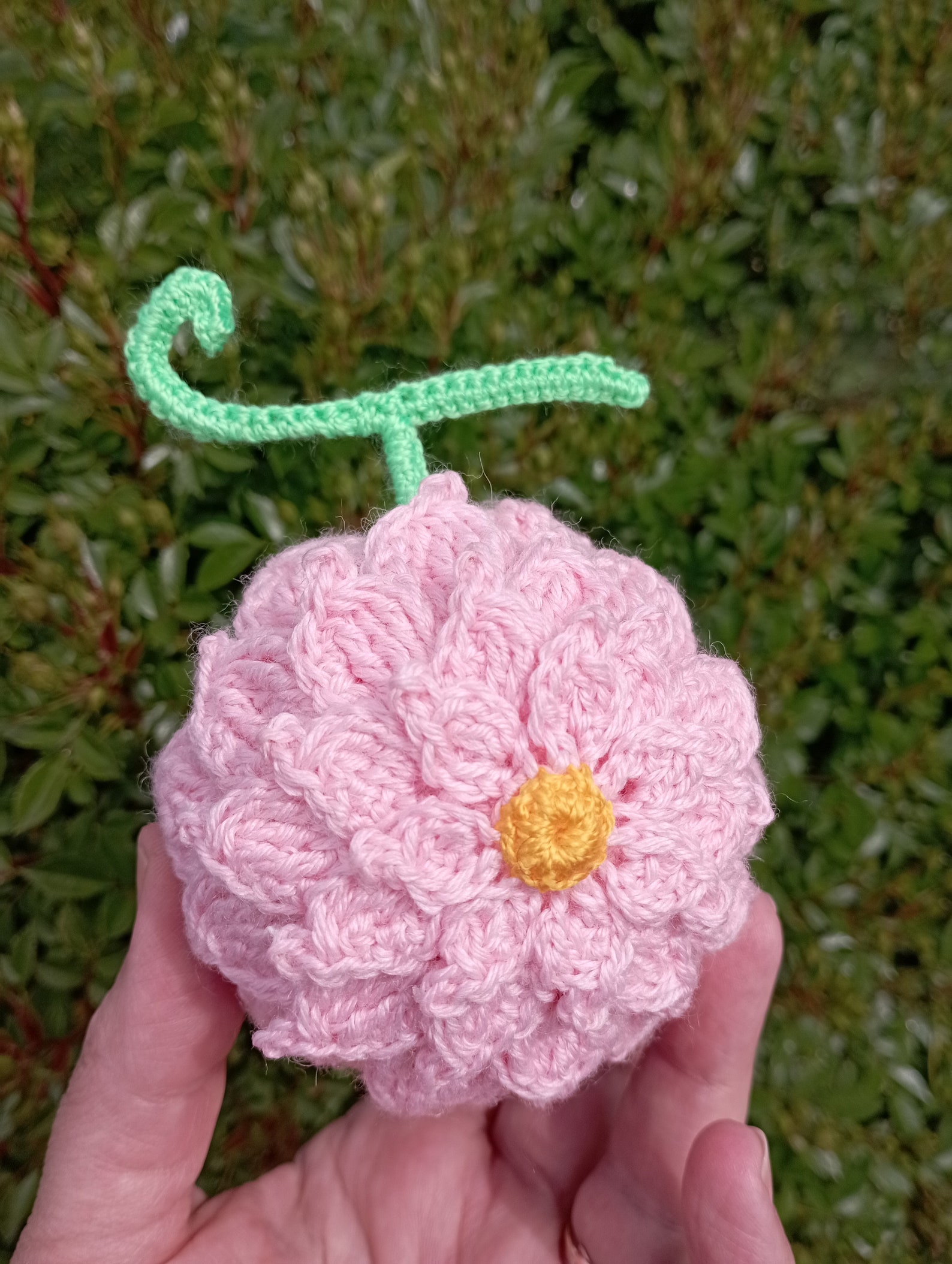 Hana Hana No Mi Trafalgar Law Devil Fruit One Piece Devil Etsy