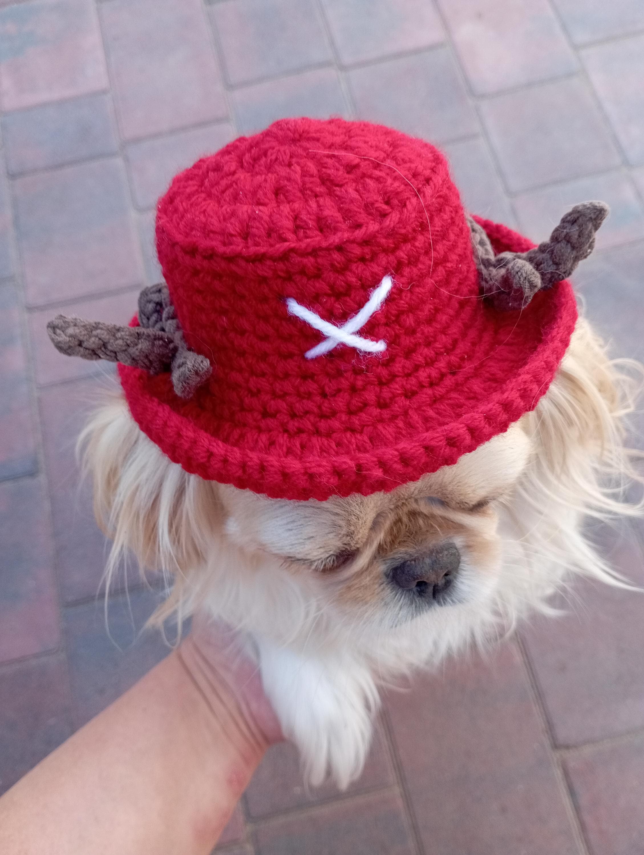 Tonytonychopper Backethatforpet, Trafalgar Law Hat Pet Crochet