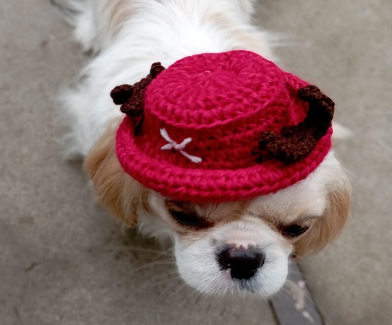 Tony Tony Chopper Backet Hat for Pet Trafalgar Law Hat Etsy