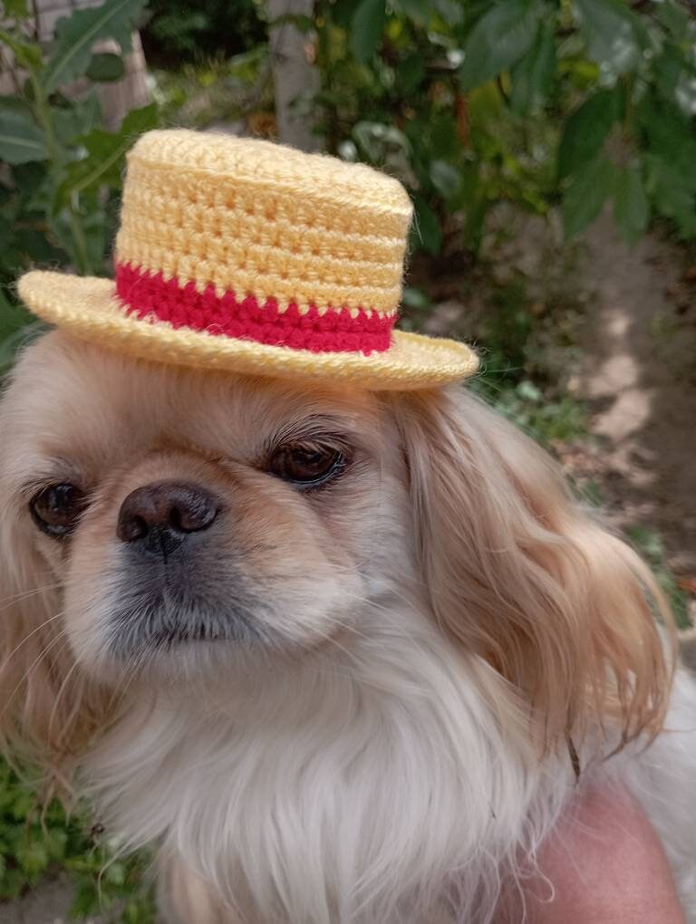 Luffy Straw Hat One Piece Anime Cosplay Replica Monkey D Etsy Australia