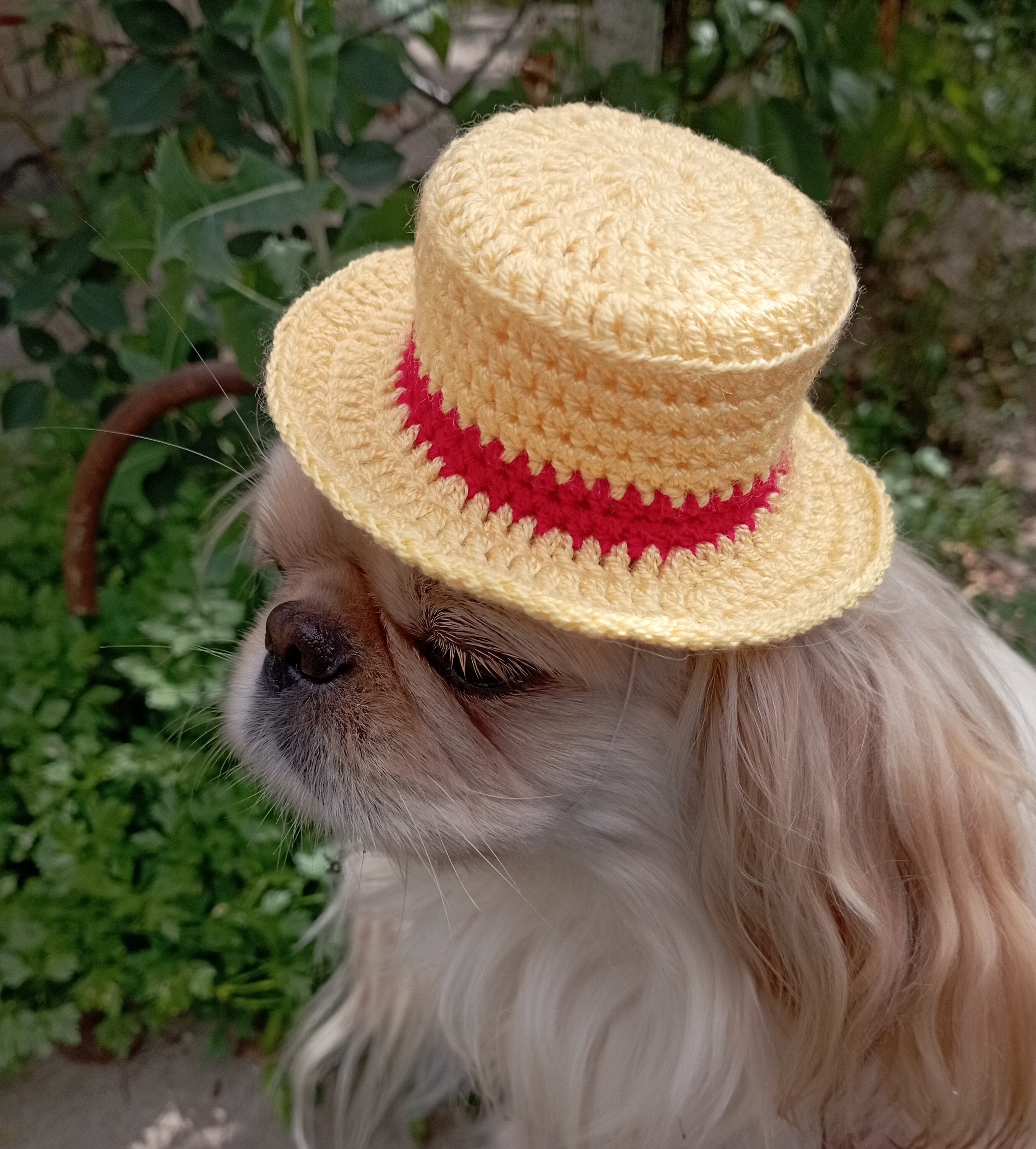 Luffy Straw Hat One Piece Anime Cosplay Replica Monkey D Etsy Australia