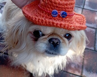 Tonytonychopper INSPIRED REPLICA Backethatforpet, Trafalgar Law