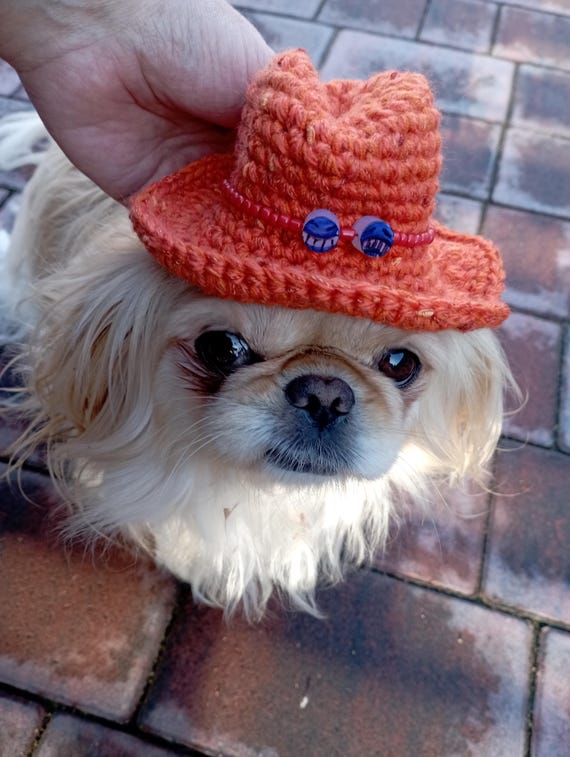 Tonytonychopper Backethatforpet, Trafalgar Law Hat Pet Crochet