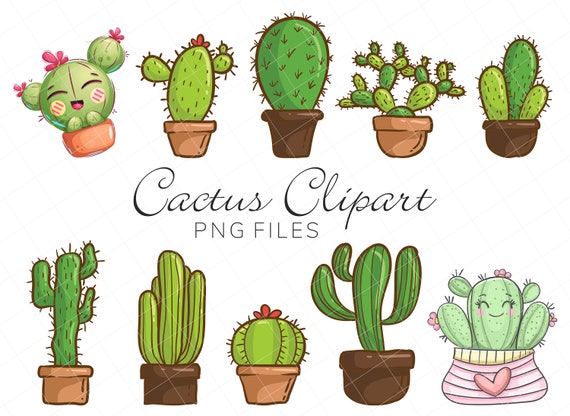 Cactus PNG - Watercolor Cactus, Cactus Flower, Cartoon Cactus, Cactus  Vector, Cute Cactus, Cactus Background, Cactus Border, Cactus Silhouette,  Desert Cactus, Christmas Cactus, Mexican Cactus, Cactus Cute, Cactus  Design, Cactus Plants, Prickly