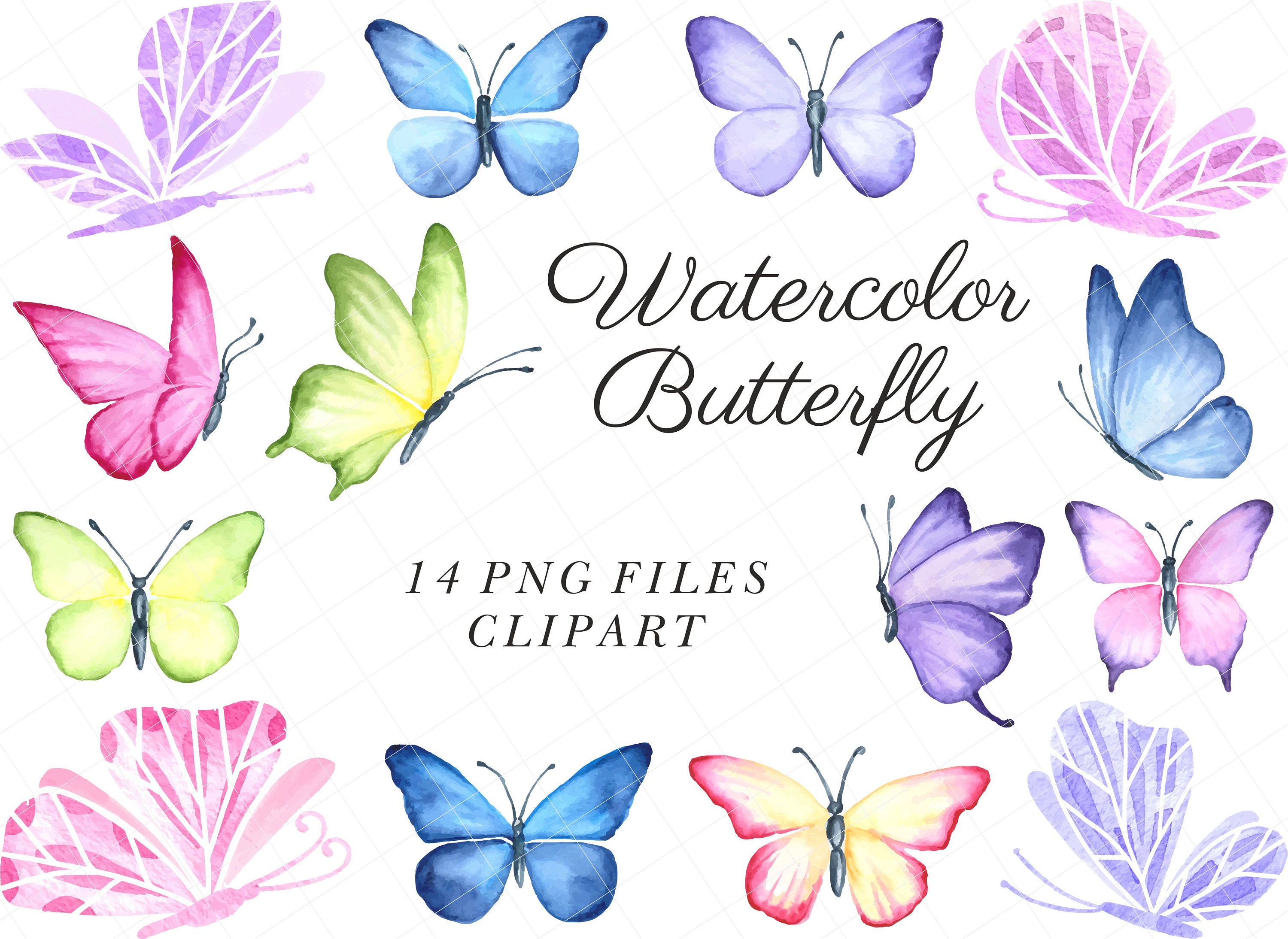 Long Butterfly Stamp - Colors For Earth, LLC