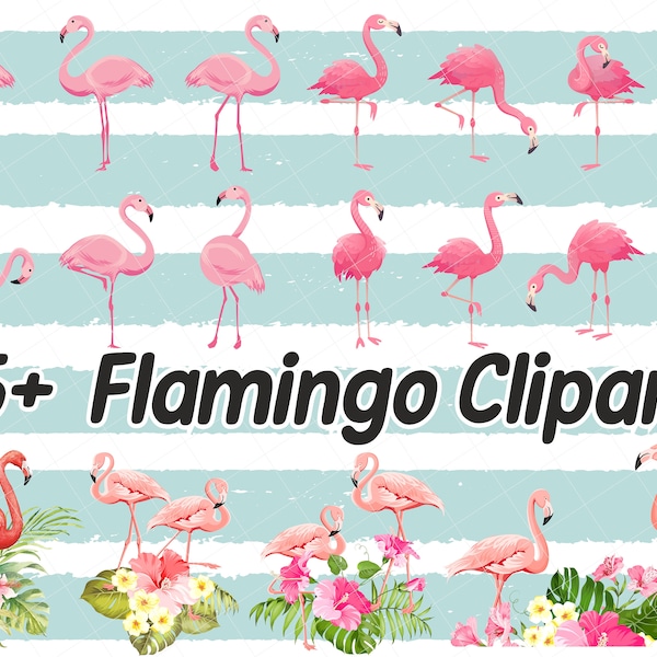 15+ Flamingo clipart, tropical flamingo clipart, cute flamingo clipart, christms flamingo clipart,  flamingo clipart commercial,flamingo png