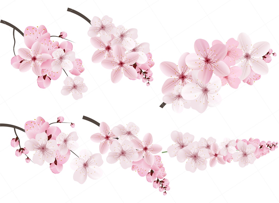 SAKURA Crystal S Clip THBT ライトピンク