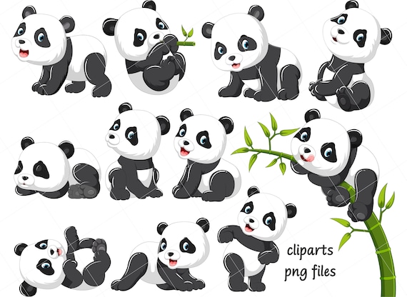 Baby panda png images