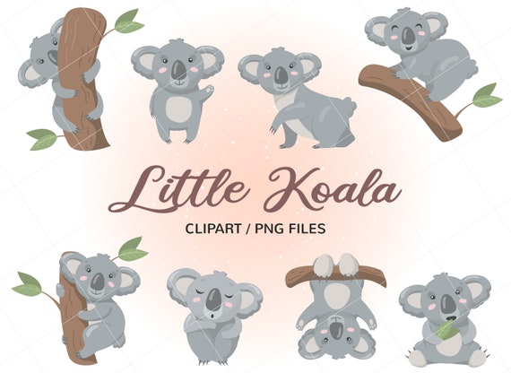 Cute Koala Clipart Koala Png Baby Koala Clipart Etsy