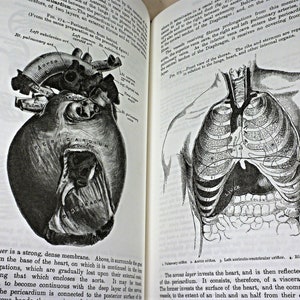 Gray's Anatomy, Henry Gray, Barnes & Noble Classic, New, In Shrinkwrap, 2018 image 6