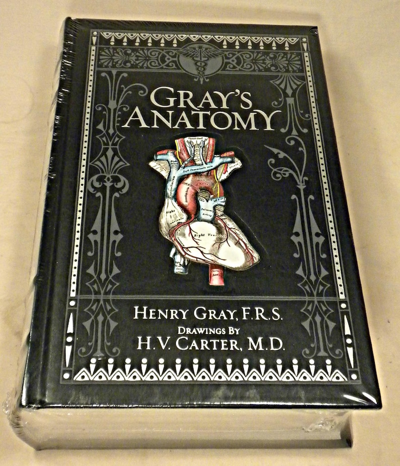 Gray's Anatomy, Henry Gray, Barnes & Noble Classic, New, In Shrinkwrap, 2018 image 2